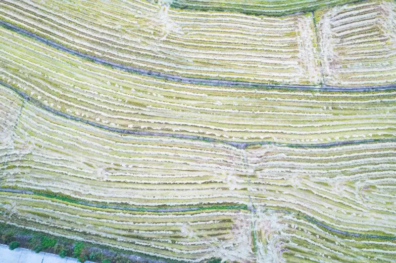 昆明实验室通风工程:臧培科技废气处理方案技术要点解析